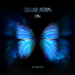 欧美人与牲动乂乂乂乂Z0Z0丶
