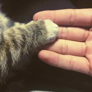 欧美人与牲动乂乂乂乂Z0Z0丶
